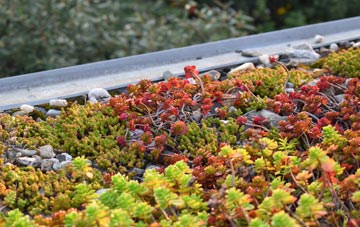 the cost of Peak Hill green roof installation