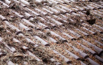 Peak Hill roof cleaning companies