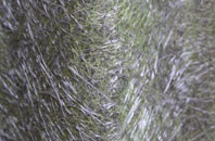 Peak Hill fibreglass roof work